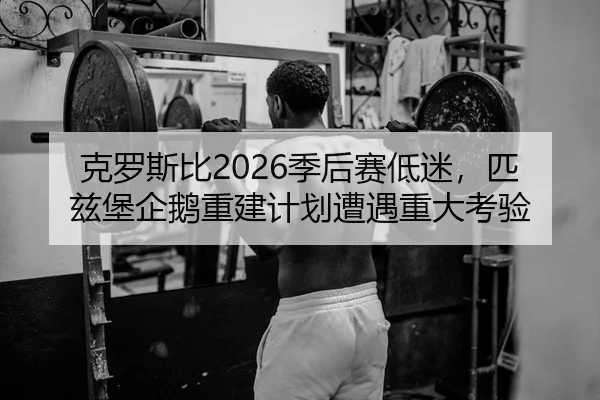 ke-luo-si-bi-ji-hou-sai-di-mi-pi-zi-bao-qi-e-chong-jian-ji-hua-zao-yu-zhong-da-kao-yan-2-425.jpg